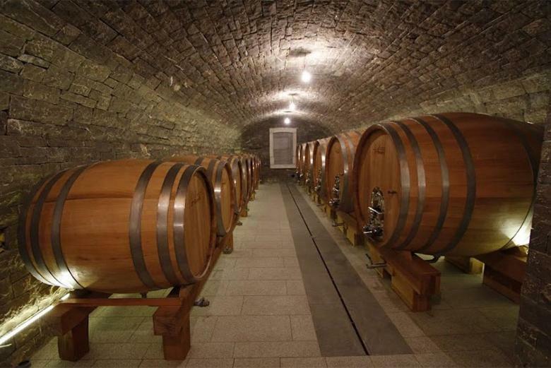 Kmetija Tomazic Vinska Klet - Winery Apartment Vipava Ngoại thất bức ảnh